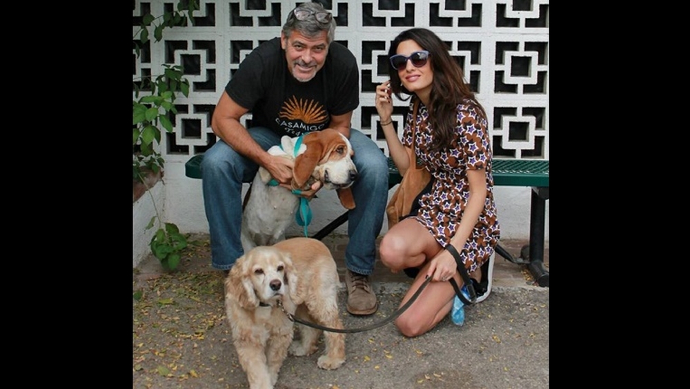 George et Amal Clooney : Ils adoptent !